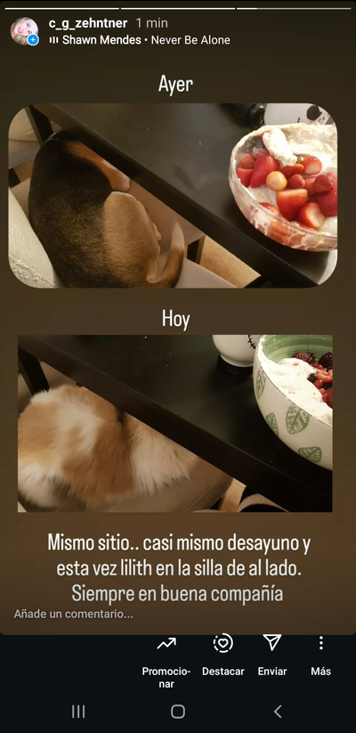 Screenshot_20241123-094222_Instagram.webp