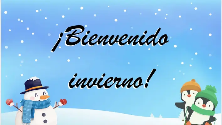 1734823521817.webp