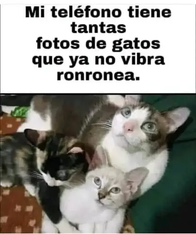 1735167825683.webp