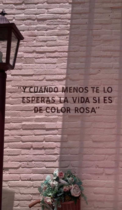 IMG_1786.webp