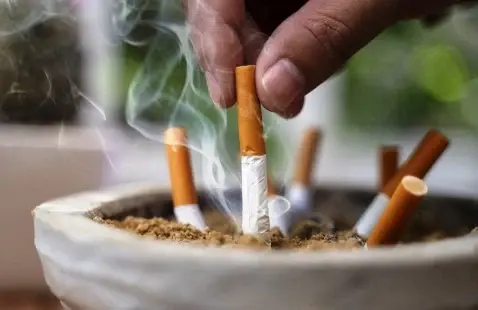 tabaco52_1000_1100.webp