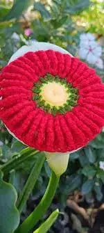 1.webp