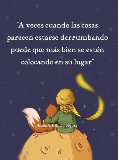 FB_IMG_1733336394670.webp
