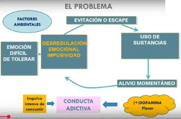 1742834670085.webp