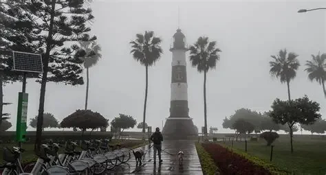 1750268773114.webp 1750268773114.webp