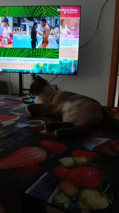 IMG-20250610-WA0017.webp