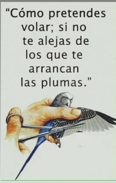 Screenshot_20250830-142432.webp Screenshot_20250830-142432.webp