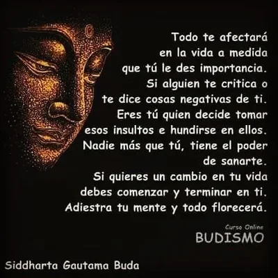 07b97ca8b6a09a84b60c33152daeaca8 (1).webp