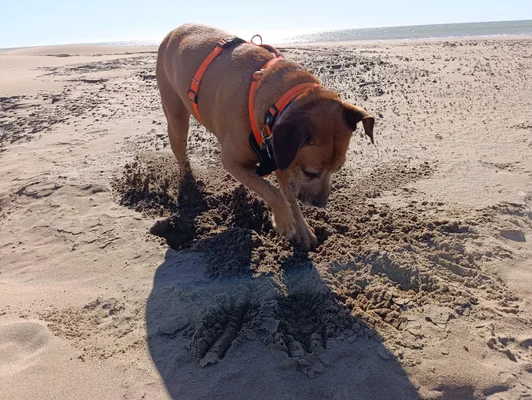IMG-20260403-WA0005.webp