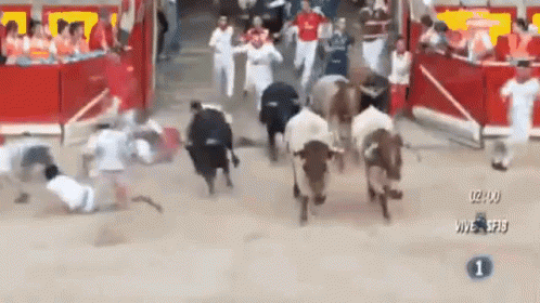 SAN FERMIN.gif