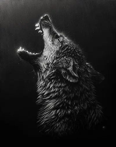 1417fdcc7c2a.webp