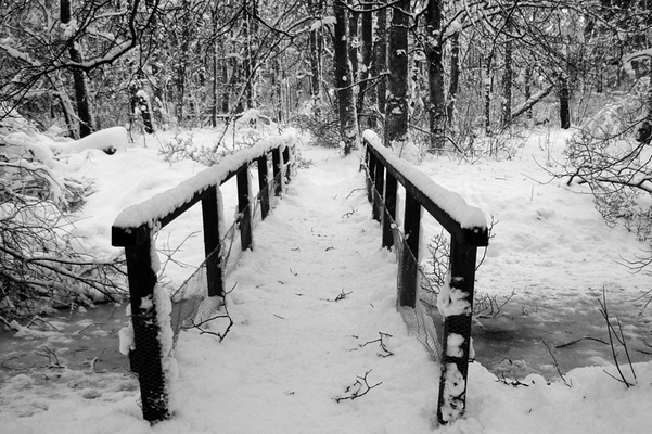 El-pasillo-de-nieve.webp