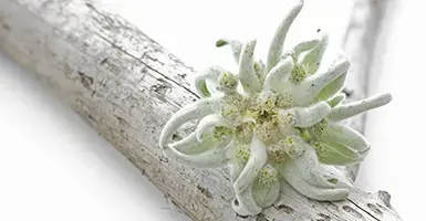 7603FFDE-A3D3-4796-A1CB-9B30F976319A.webp