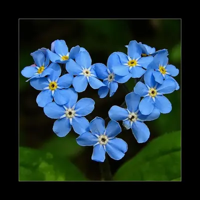 82f3fa364f6a410f312af410224d5367.webp