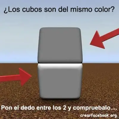 CB5.webp