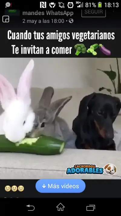 Screenshot_2018-05-07-18-13-37.webp