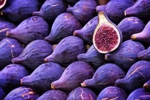 psicologia-color-violeta-francisco-torreblanca.webp