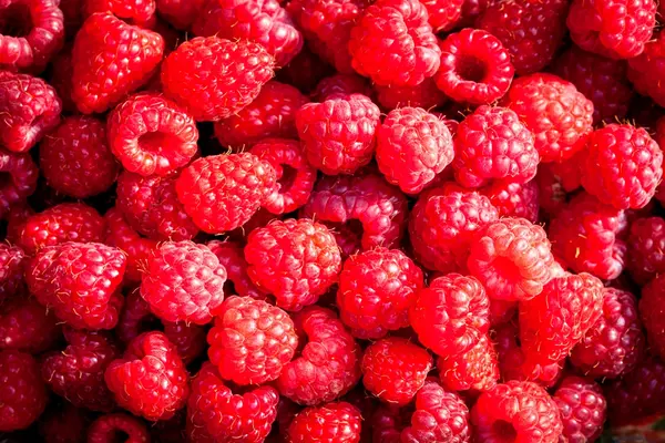 TA502277017_Vadelma_Takalan_Herkku.webp