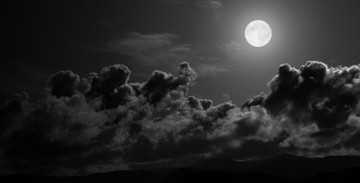 Noche.webp