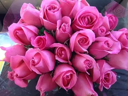 foto-de-rosas-de-color-rosado.webp