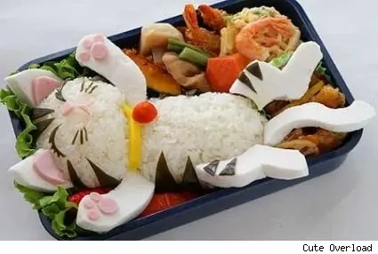 gato-bento.webp