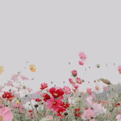tumblr_nw1vkpYGEm1rkyrf8o1_r1_250.gif