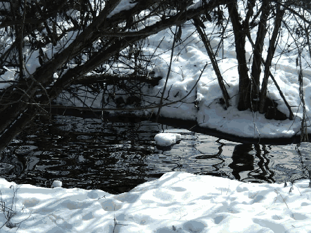 tumblr_n83b47b2uu1t19jpho1_500.gif