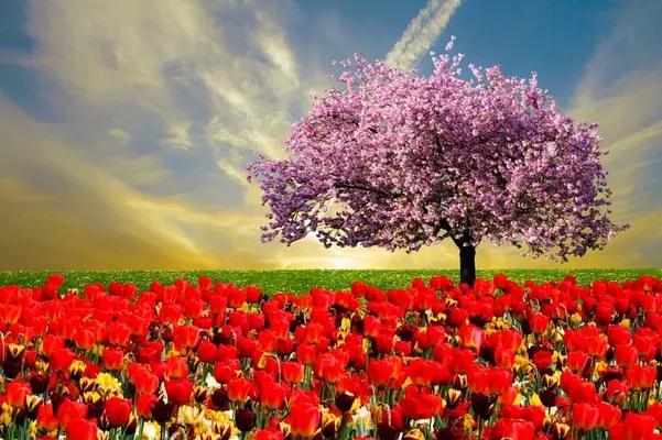 primavera-830x553.webp