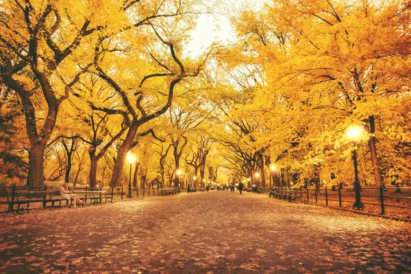 Central-Park-en-Otono.webp
