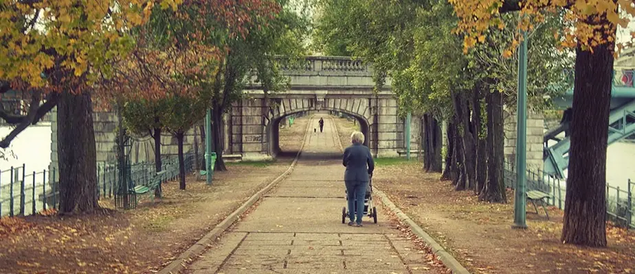 Paris-Autumn.webp