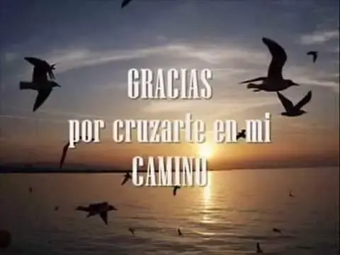 received_2262429653988959.webp