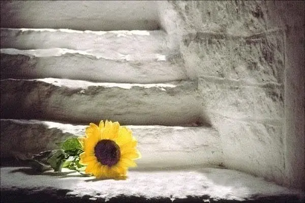v85dxugrj8n.webp