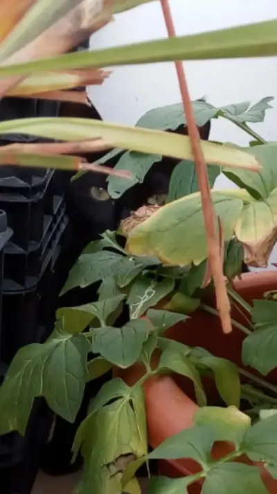 Screenshot_2019-02-27-15-57-59.webp
