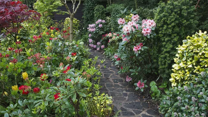 England_Gardens_Rhododendron_Tulips_Walsall_Garden_525536_1920x1080.webp