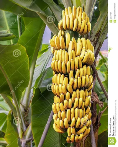 IMG_20190430_231308_109.webp