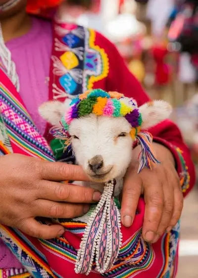 _20190506_082229.webp