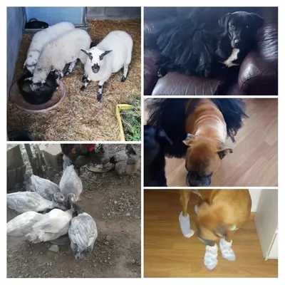 20190512_154319-COLLAGE.webp