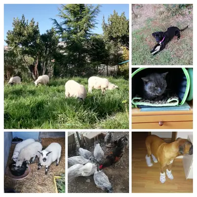 20190512_153820-COLLAGE.webp
