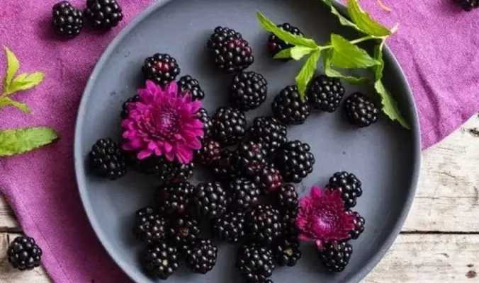 frutas-y-verdruas-lista.webp