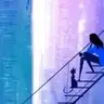 Nit