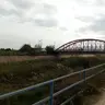 Hiedraverde
