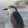 Demian_Loustau