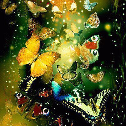 20130324113714-mariposas.jpg
