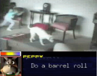 animado-1.gif