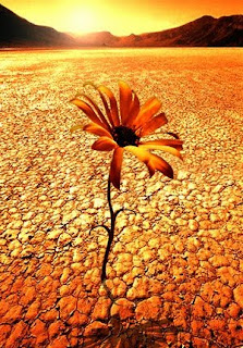 Resiliencia
