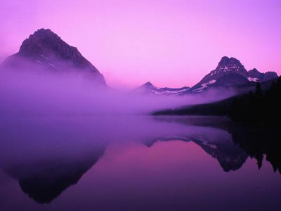 sueno-violeta.jpg